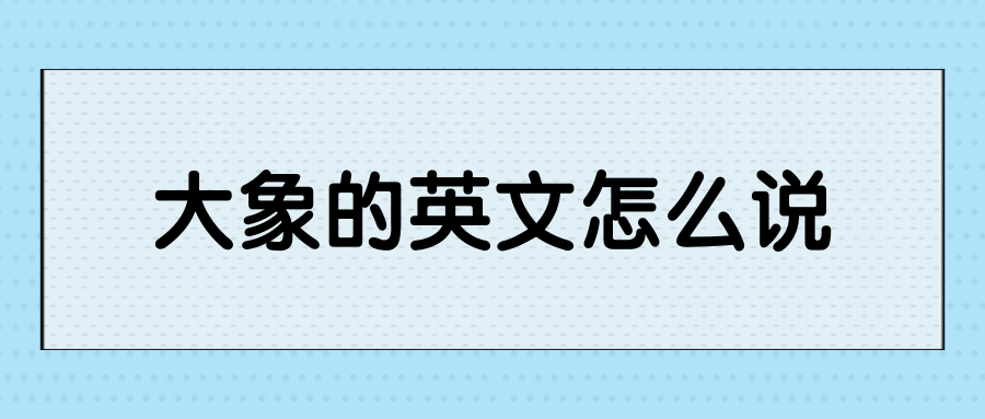 大象的英文怎么说