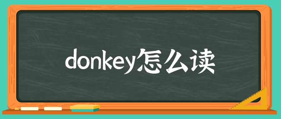 donkey怎么读