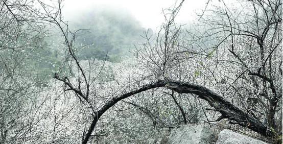 惠东有什么好玩的景点推荐（市惠东县十大景区推荐）