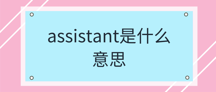 assistant是什么意思