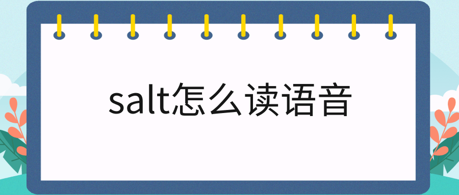 salt怎么读语音