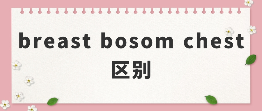 breast bosom chest区别