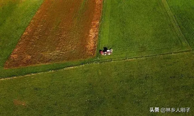 如何告村干部强征土地（村干部强行征地的维权方法）