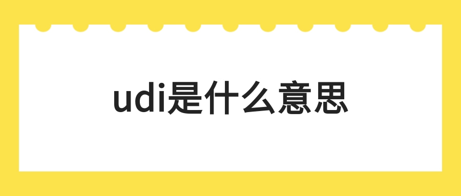 udi是什么意思