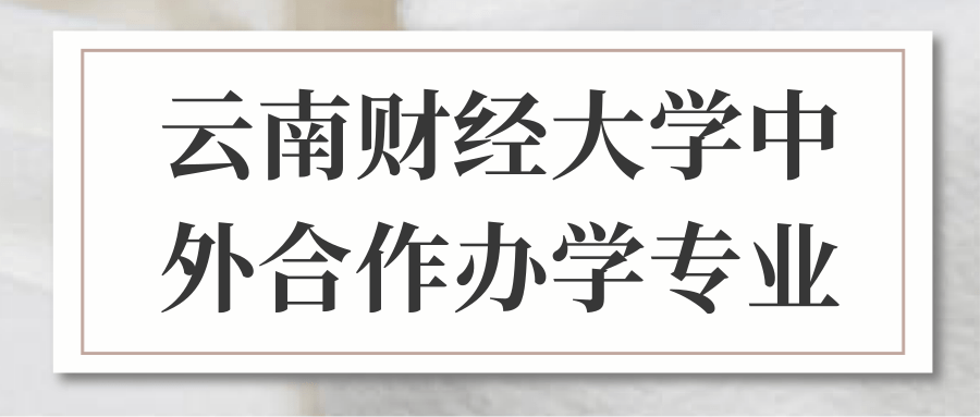 云南财经大学中外合作办学专业