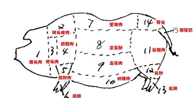 老母猪肉和普通猪肉的区别是什么（关于猪肉各部位图解与介绍）