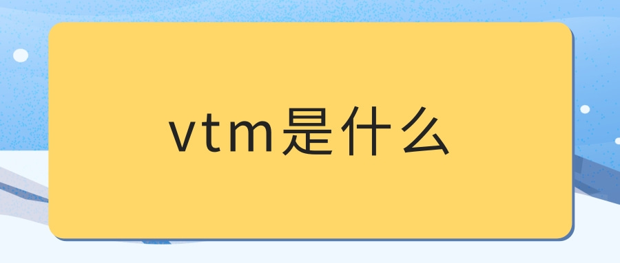 vtm是什么