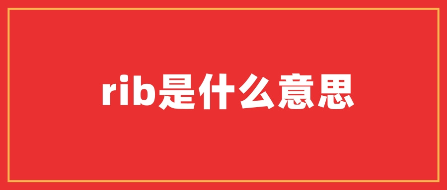 rib是什么意思