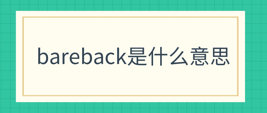 bareback是什么意思