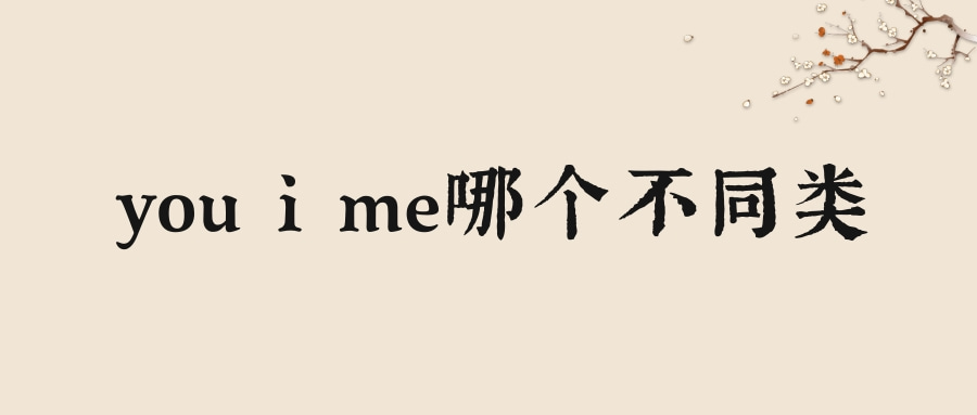 you i me哪个不同类