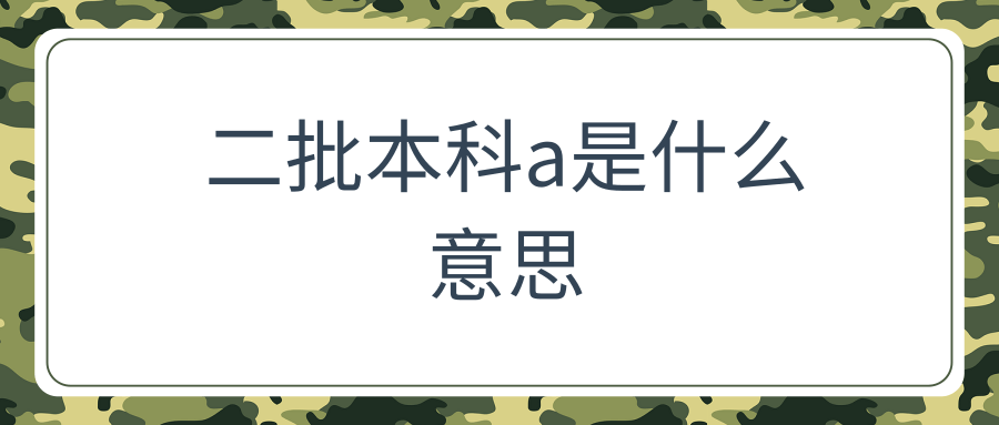 二批本科a是什么意思