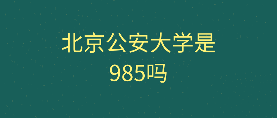 北京公安大学是985吗