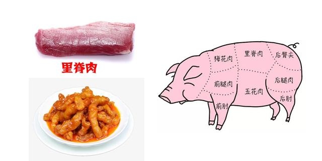 老母猪肉和普通猪肉的区别是什么（关于猪肉各部位图解与介绍）