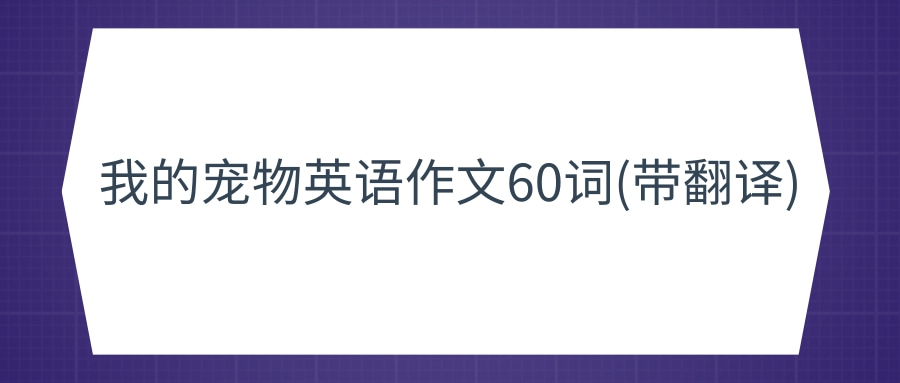 我的宠物英语作文60词(带翻译)