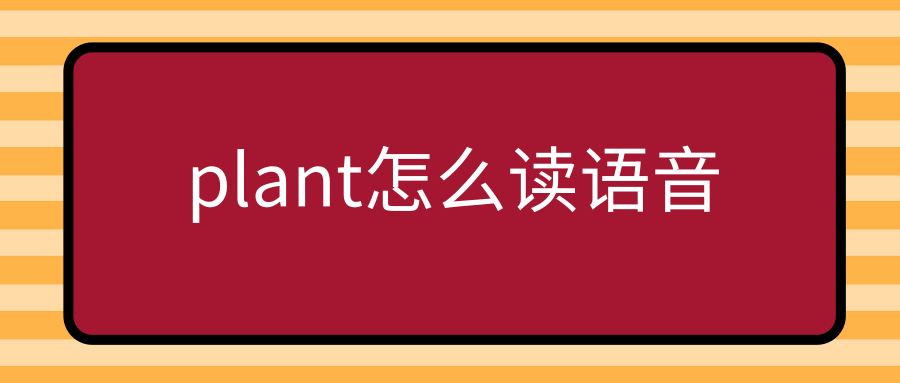 plant怎么读语音