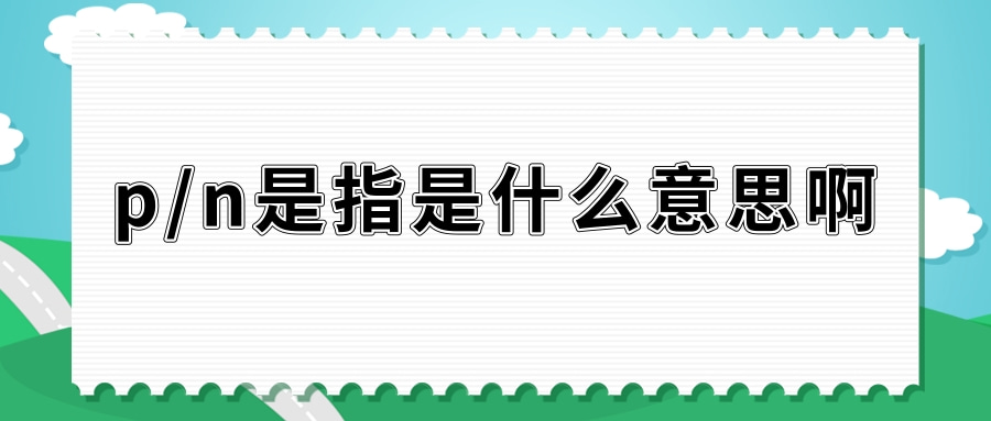 p/n是指是什么意思啊