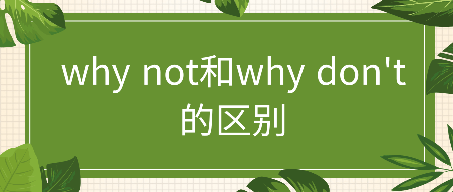 why not和why don’t的区别