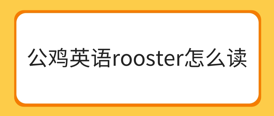 公鸡英语rooster怎么读