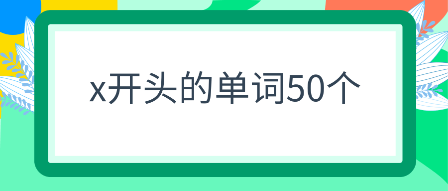 x开头的单词50个