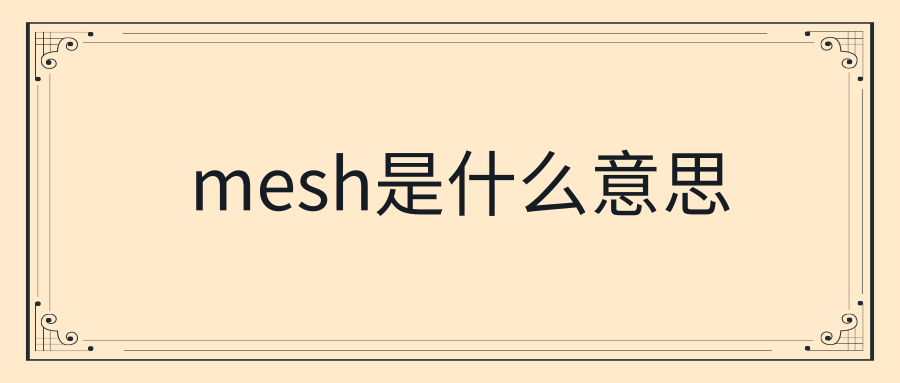 mesh是什么意思