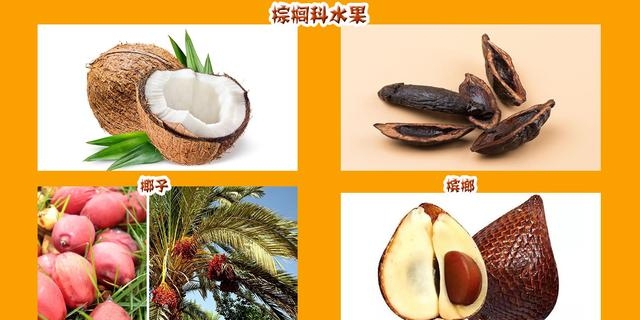 所有水果的名称和图片大全（盘点42个科154种水果）