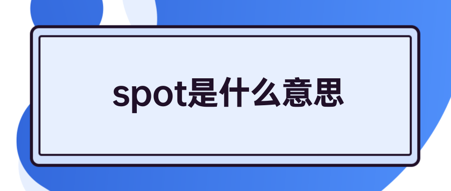 spot是什么意思