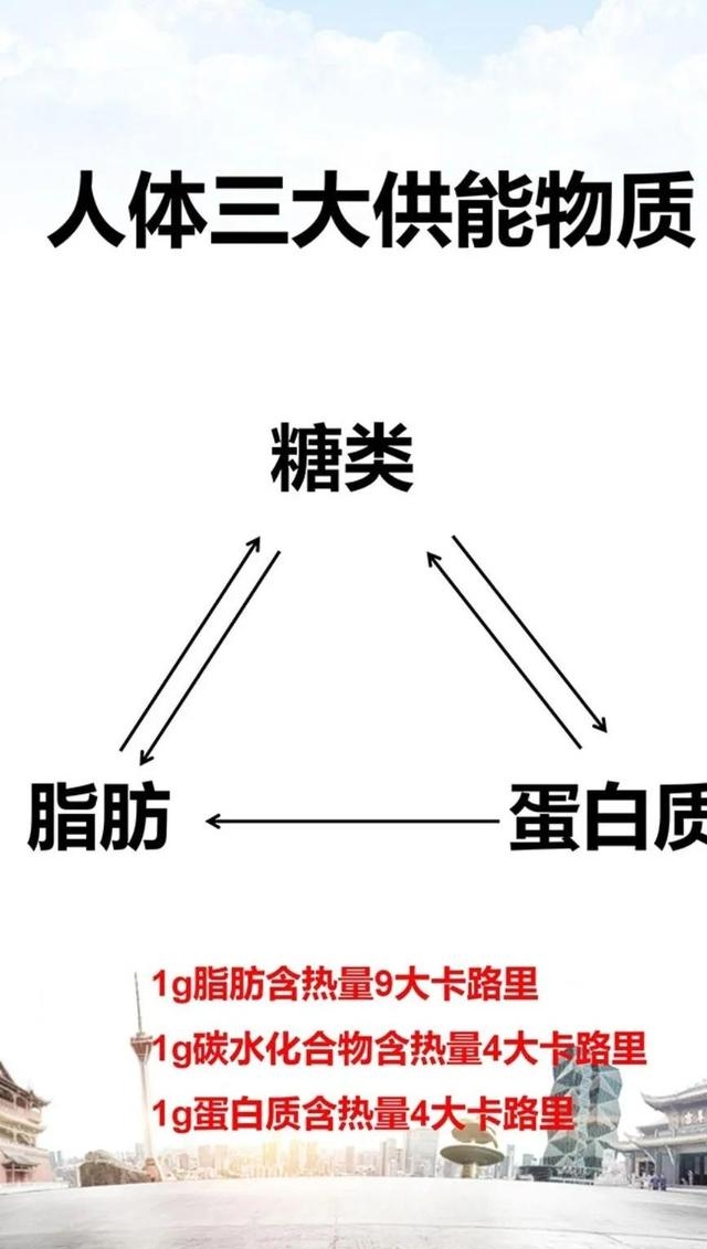 营养必需脂肪酸有哪些（人体42种必需营养素介绍）