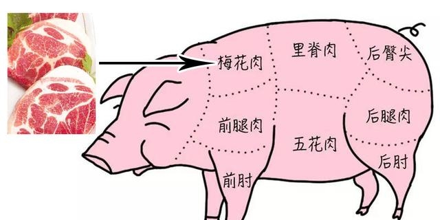 老母猪肉和普通猪肉的区别是什么（关于猪肉各部位图解与介绍）