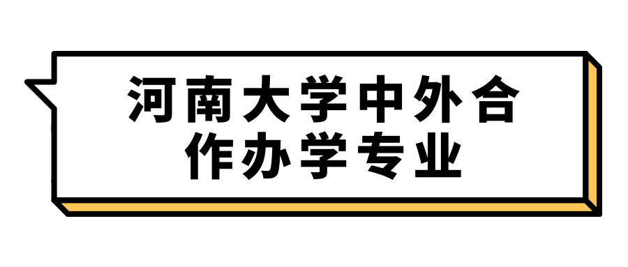 河南大学中外合作办学专业