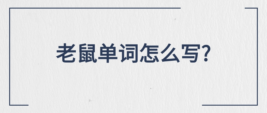 老鼠单词怎么写?