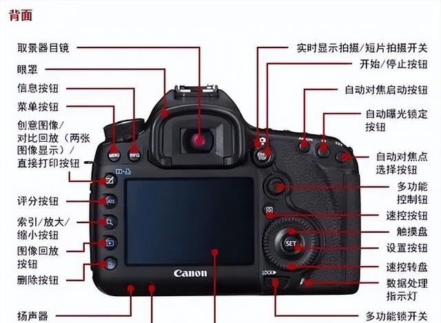 初学者单反相机使用方法按钮（新手必看的相机使用指南）