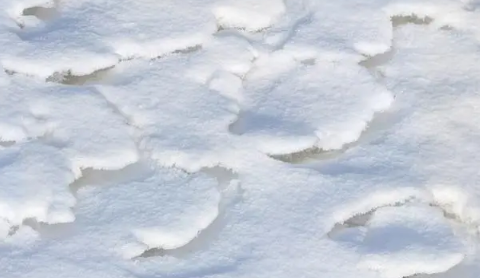 大寒那天一定会下雪是错还是对_大寒节气当天会下雪吗